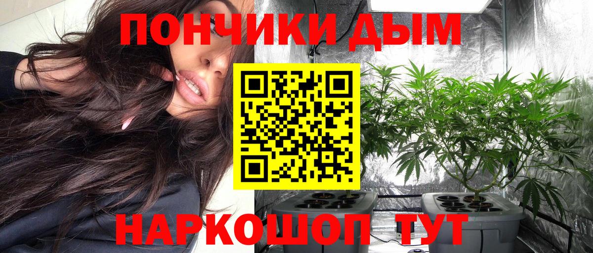 МАРИХУАНА сатива Волжский